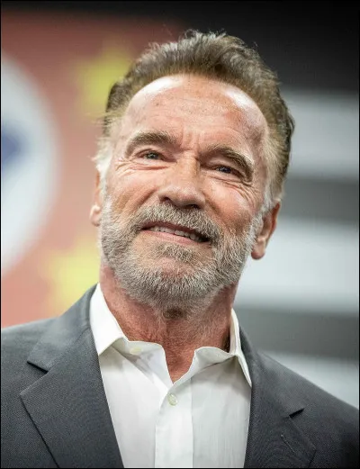 Quel a été le plus grand succès d'Arnold ?