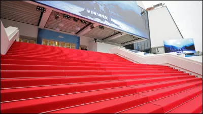 Quelle tenue serais-tu le plus capable de porter pour un gala ?