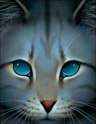 Maintenant, tu es un chat. Ton apprenti te saute dessus. Que fais-tu ?