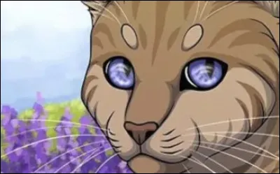 Qui est l'apprenti de ce chat ?