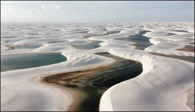 Qu'est-ce que la feijoada, le plat typique du pays ?