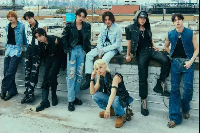 Quand le groupe a-t-il débuté ?
