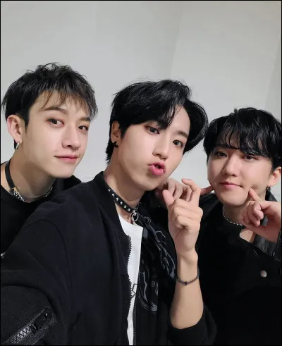 De quel groupe font-ils partie en dehors de Stray Kids ?