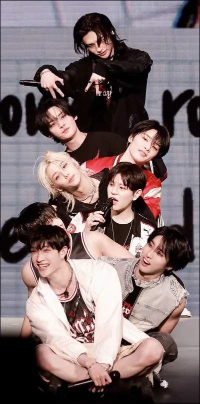 Quel membre a quitté Stray Kids ?