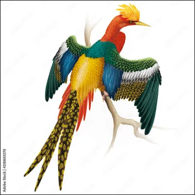 Quel est le nom de l'oiseau légendaire qui renaît de ses cendres ?