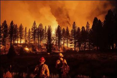 Dans quel tome y a-t-il l'incendie de forêt ?