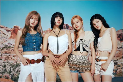 Enfin, quel groupe préfères-tu ?