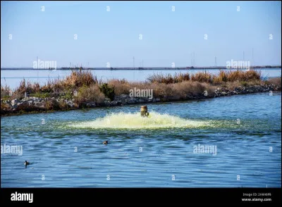 Quelle est la principale cause de la pollution des océans par les hydrocarbures ?