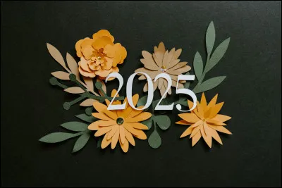 Quel nombre n'est pas un diviseur de 2025 parmi ceux-ci ?