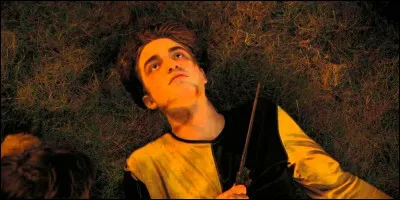 Quelle a été la dernière demande de Cedric à Harry ?