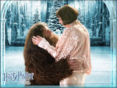 Qui a été sa cavalière pour le bal du Tournoi des Trois Sorciers ?