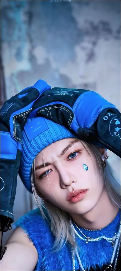 Quelle est sa position dans Stray Kids ?