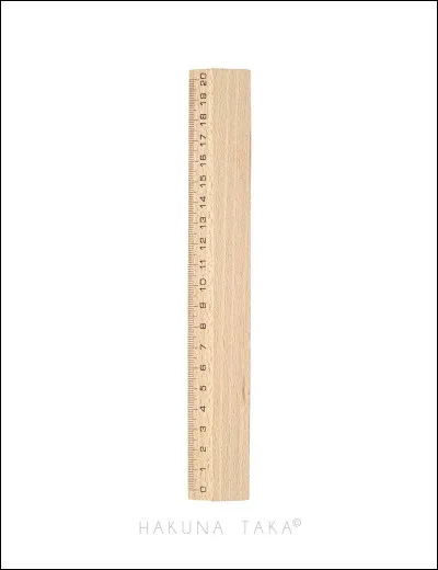 Combien mesure-t-il ?