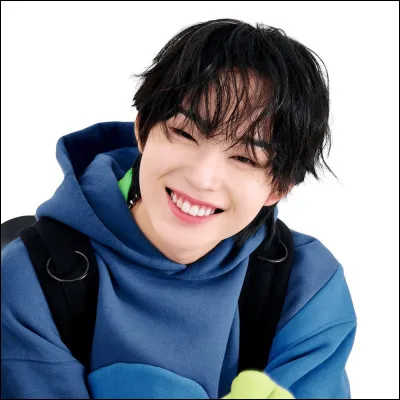 De quel groupe fait-il partie ?