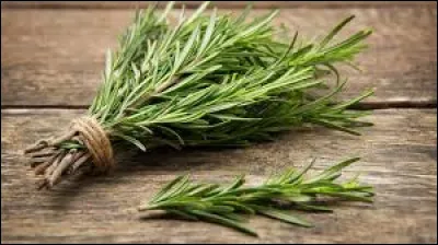 Quelle est couleur des fleurs du romarin ?