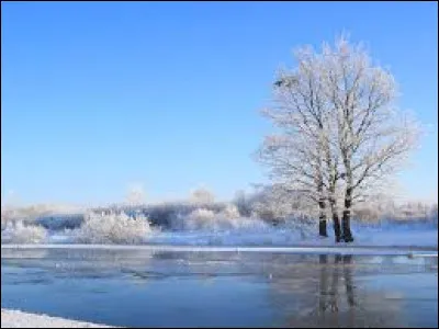 Le printemps pr&eacute;c&egrave;de l'&eacute;t&eacute; !