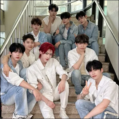 Quel membre sait jouer du violon ?