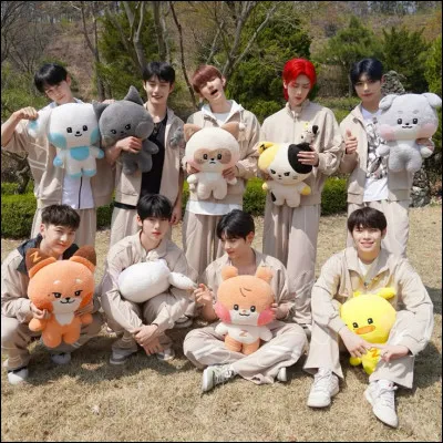 Quel membre est le plus grand ?