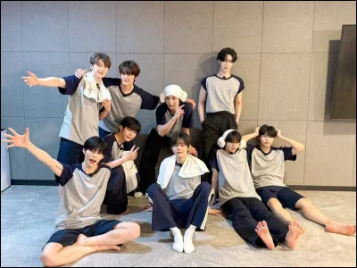 Quel membre a un zeroni caneton qui le repr&eacute;sente ?