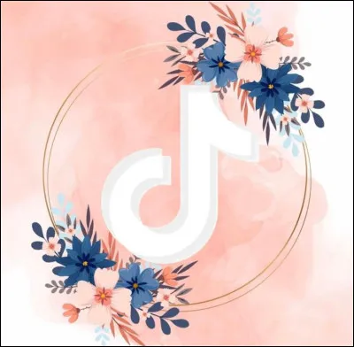 Quel est ce réseau social très connu ?