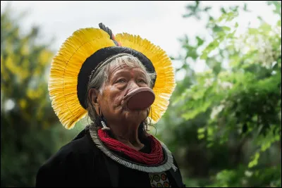 Quel est le nom de chef du peuple ''Kayapo'' avec lequel il s'est engagé pour la préservation la forêt vierge amazonienne ?