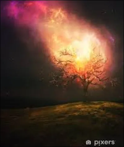 De quel(s) héros de bande dessinée trouve-t-on un album intitulé « Le Feu du ciel » ?