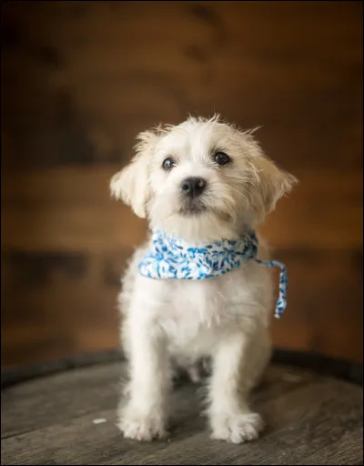 A-t-on d&eacute;j&agrave; jug&eacute; tes go&ucirc;ts vestimentaires ?