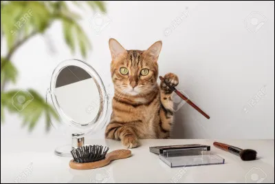 Mets-tu du maquillage ?