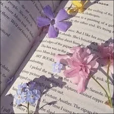 Tu préfères les livres avec des ados de :