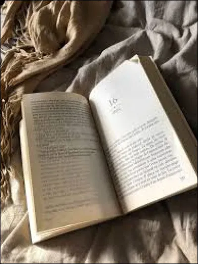 Tu pr&eacute;f&egrave;res les livres :