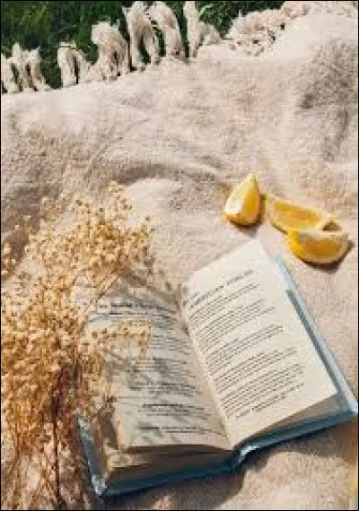 Combien de tomes veux-tu ?