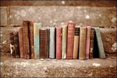 Quelle couverture pr&eacute;f&egrave;res-tu pour les livres ?