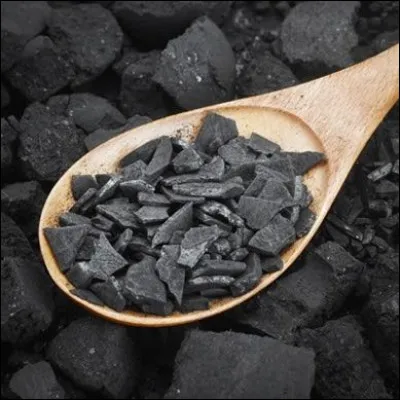 Quel est l'autre nom de la maladie du charbon ?