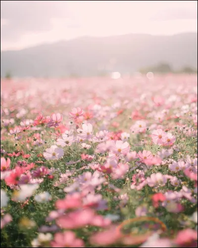 Tu es plut&ocirc;t�