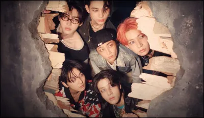 Quel est leur premier MV ?