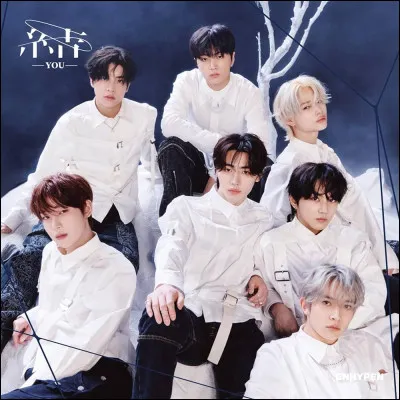 Quel est le logo d'Enhypen ?