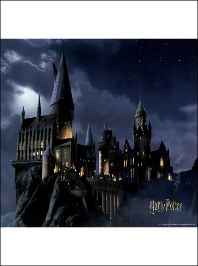 Qui a dit : «  Cest la baguette qui choisit son sorcier. »