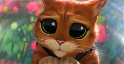 Un proverbe dit : "La nuit, tous les chats sont... ."