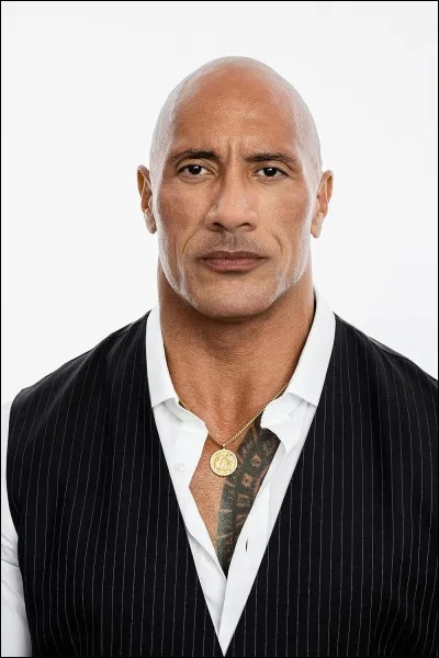 Quel acteur est surnommé "The Rock" ?