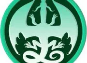Test Qui est-tu dans les dragonnets du destin