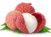 Quiz Devine le fruit