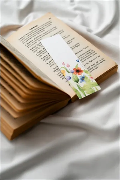 De quel genre serait ton livre ?