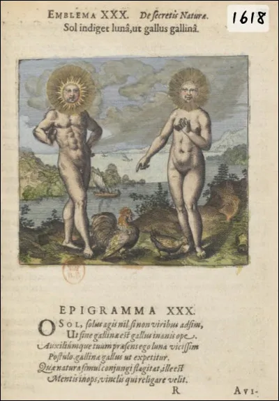 Entre quels astres le coq se trouve-t-il ? De gauche à droite.