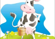 Quiz L'alimentation et l'activit physique
