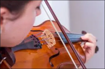 Ce violon a une bonne ...