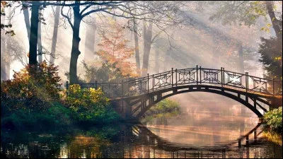 En anglais, "matin" se dit "morning".
