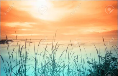 C'est Joe Dassin qui chante "Mais quand le matin".