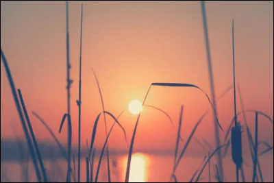 Dans la mythologie grecque, Éos est la déesse de l'aurore annonçant le matin.