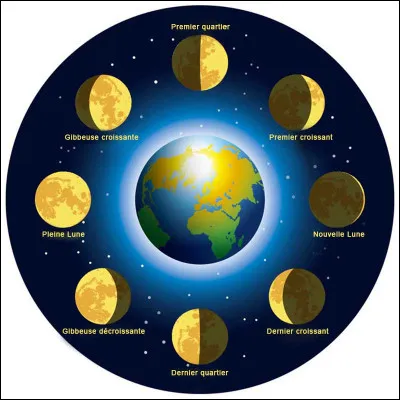 Quel nombre de phases le cycle de la Lune comporte-t-il ?