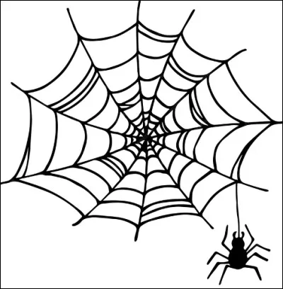 Quel nombre de paires de pattes, l'araignée possède-t-elle ?